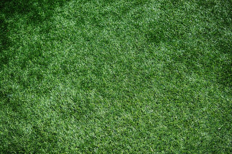 Types of Artificial Grass/Turfs